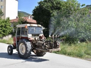 İ̇skilip’te Vektörel Mücadeleye Hız Verildi