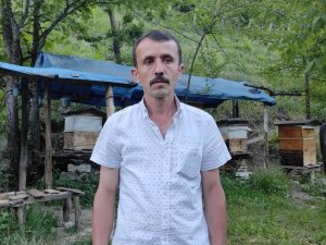 Ayı Vatandaşa Saldırdı, Köylüler Korku İçinde