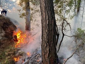 Antalya’da Orman Yangını
