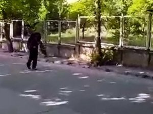 Yavrularını Korumak İsteyen Kargalar Vatandaşa Zor Anlar Yaşattı