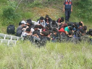 Kırklareli’nde 32 Kaçak Göçmen Ormanda Saklanırken Bulundu: 1 Gözaltı