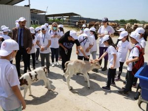 “Lider Çocuk Tarım Kampı” Yapıldı