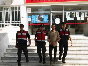 Polisi Darp Etti, Tutuklandı