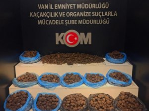 Van’da 97,5 Kilogram Kaçak Trüf Mantarı Ele Geçirildi