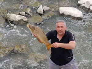 Balık Ölümleri Korkutuyor