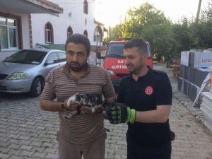 Havalandırma Boşluğuna Düşen Yavru Kedileri İtfaiye Ekipleri Kurtardı