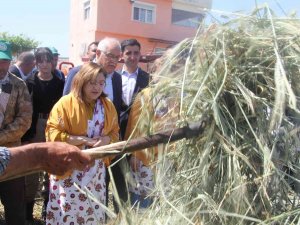 Geleneksel Yöntemlerle Yapılan Firik Ütme Başladı