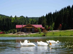 Doğa Turizminin Kalbi Bu İlçede Atacak