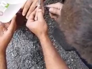 Elazığ’da Parmağa Sıkışan Yüzüğü İtfaiye Ekipleri Çıkardı