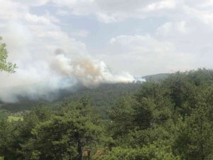 Bolu’da Orman Yangını