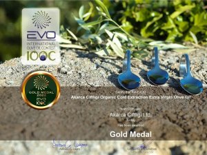 Milas Zeytinyağına İ̇talya’dan Altın Madalya