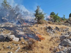 Bodrum’da Otluk Ve Makilik Alanda Yangın