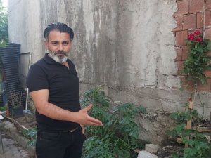 Karşılarında 2 Metrelik Yılanı Görünce Neye Uğradıklarını Şaşırdılar