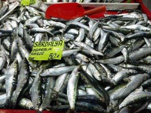 Çanakkale’de Geçen Sene Kilosu 70 Lira Olan Sardalya, 50 Liradan Tezgahlarda