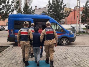 Ardahan’da 2 Kaçak Göçmen Yakalandı
