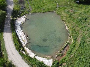 Siirt’te Doktor Balıklar Şifa Dağıtıyor