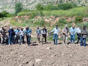 Devlet Destek Verdi Siirt’te Susam Ve Çeltik Ekimi Yaygınlaştı