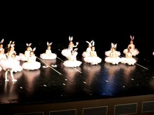 Bursa’da Küçük Balerinlerden Büyük Gösteri