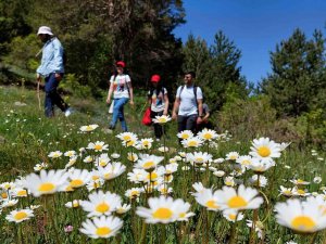 Yüzlerce Yıldır Kullanılan Patikaları Canlandırıyorlar