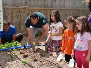 Okul Bostanı Projesiyle Öğrenciler Toprakla Buluşuyor