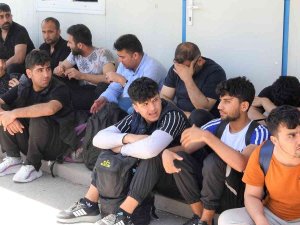 Kamyon Kasasında Kaçak Göçmenler Yakalandı
