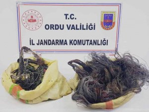 Ordu’da Kablo Hırsızlığı Ve Sahte İçki Üretimi Yapan Yabancı Uyruklu Şahıs Tutuklandı