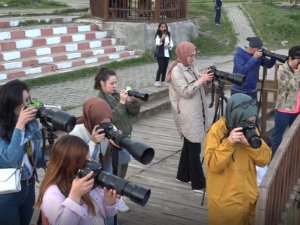 ‘İ̇nci Kefali’ Konulu Fotoğraf Yarışmasına Yoğun İlgi