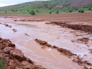 Sivas’ta Etkili Olan Dolu Tarım Arazilerine Zarar Verdi