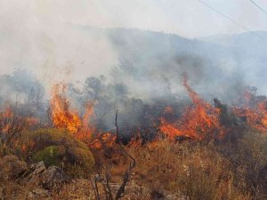 Dalaman’da Orman Yangını