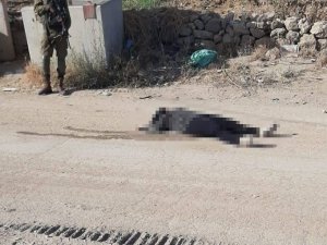 İ̇srail Güçleri Filistinli Bir Kadını Öldürdü