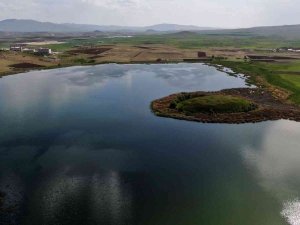 Sivas’ın En Büyük İkinci Gölünde Sevindiren Gelişme