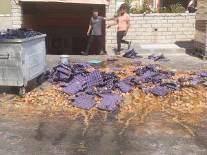 Maltepe’de Palet Devrildi, Binlerce Yumurta Yola Düşüp Kırıldı