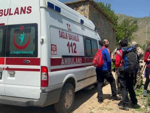 Ayı Saldırısından Elindeki Sopayla Kurtuldu