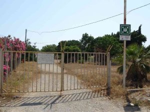 Gençler Saha Bulamazken Terk Edilen Stadı Kurumuş Ot Ve Dikenler Kapladı