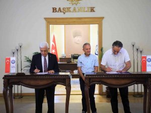 Milas Zeytininin Geliştirilmesi Ve Yaygınlaştırılması Protokolü