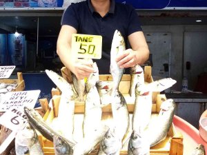 Marmara’da Lüfer Bereketi