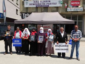 9 Yıldır Oğlundan Haber Alamayan Anne, Hdp Ve Pkk’ya Tepki Göstererek Kaldırıma Yattı