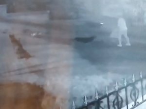 Sokak Köpekleri İşten Dönen Hasret’e İşte Böyle Saldırdı