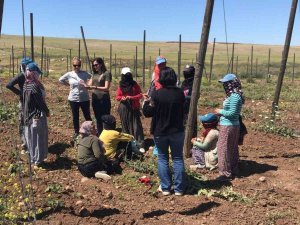 Siirt’te Kadınlara Kooperatifçilik Eğitimi