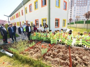 Çocuklar, Atalık Tohumdan Elde Edilen Fideleri Toprakla Buluşturdu