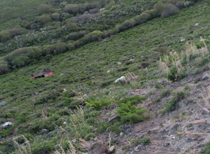 Pasinler'de Trafik Kazası: 1 Ölü 5 Yaralı