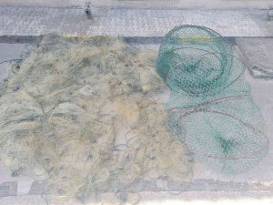 Nehirde Kaçak Balık Avına Jandarmadan Suçüstü