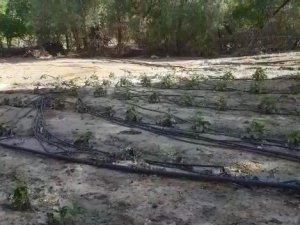 Sel Ve Dolunun Vurduğu Köyde Tarım Arazileri Zarar Gördü