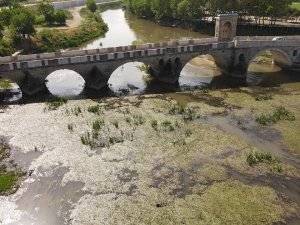 Tunca Nehri Adeta Bataklığa Döndü