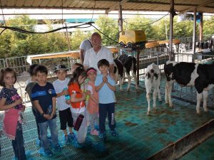 Kütahyalı Minik Öğrenciler, Sütün Önemini Çiftlikte Öğrendi