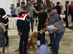 Jandarmadan Üniversite Öğrencilerine Tanıtım Faaliyeti