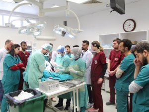 Bingöl’den Getirilen K9 Cinsi Köpek Sivas’ta Ameliyat Edildi