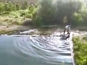 Havuza Düşen İneği Vatandaş Kurtardı