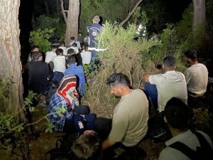 Muğla’da 81 Düzensiz Göçmen, 6 Göçmen Kaçakçısı Yakalandı