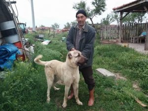 Arazi Kavgasında Baba Yaralandı, Oğlu Hayatını Kaybetti